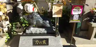 摩利支天 徳大寺の狛犬