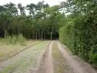 神社(名称不明)の周辺
