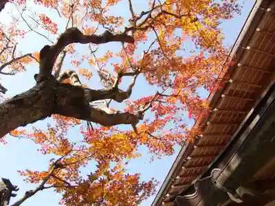 成福院(和歌山県)