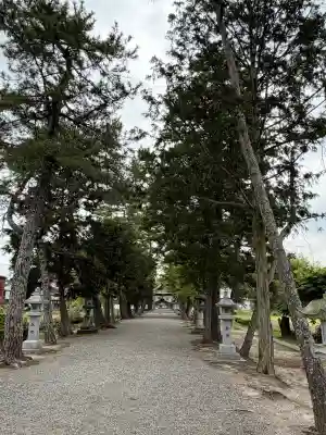 志那神社(滋賀県)