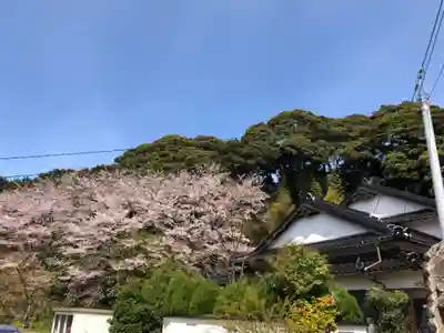 光明寺(馬木不動尊)の自然