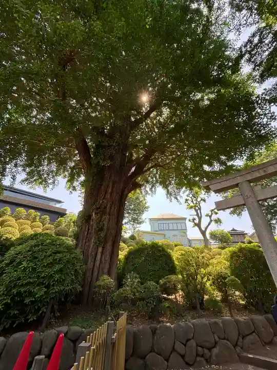 根津神社の{uncategorized: "未分類", other: "その他", undefined: "問題あり", building: "その他建物", grave: "お墓", sacred_gate: "鳥居", guardian: "狛犬", statue: "像", buddha: "仏像", history: "歴史", nature: "自然", garden: "庭園", animal: "動物", pagoda: "塔", temizu: "手水舎", mountain_gate: "山門・神門", sanctuary: "本殿・本堂", subordinate: "末社・摂社", art: "芸術", scenery: "景色", jizo: "地蔵", ema: "絵馬", goshuin: "御朱印", omikuji: "おみくじ", items: "授与品その他", amulet: "お守り", goshuincho: "御朱印帳", eats: "食事", festival: "お祭り", votive_dance: "神楽", shichigosan: "七五三参", wedding: "結婚式", experience: "体験その他", initially: "初詣", around: "周辺", anti_infection: "感染症対策"}