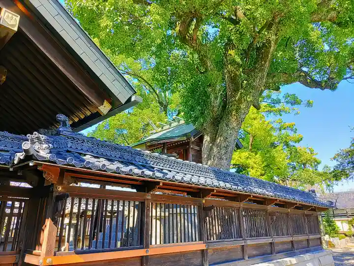 神明社(蟹江神明社)の本殿・本堂