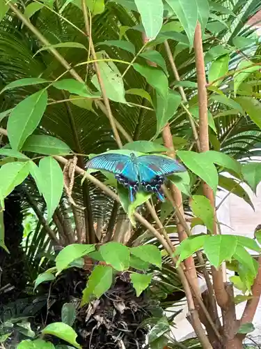 洲崎神社(千葉県)