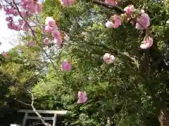 月夜見宮（豊受大神宮別宮）の自然