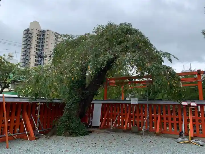 榴岡天満宮のその他建物