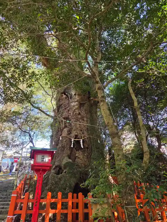 新田神社(鹿児島県)