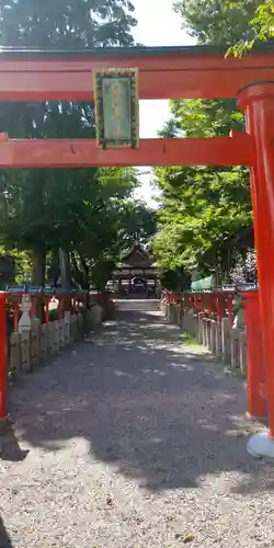 若松神社の鳥居