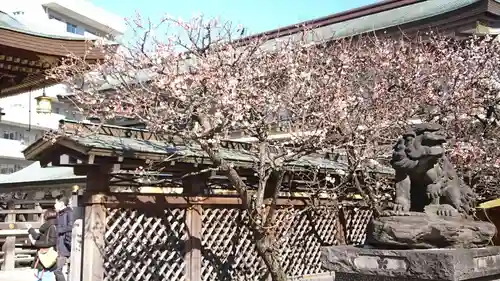 湯島天満宮の自然