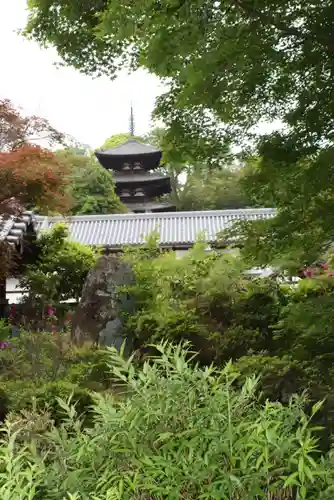 當麻寺 宗胤院(奈良県)
