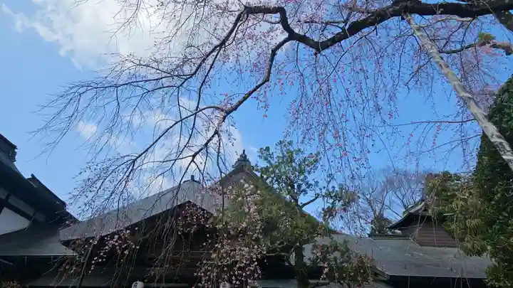 東南院(奈良県)