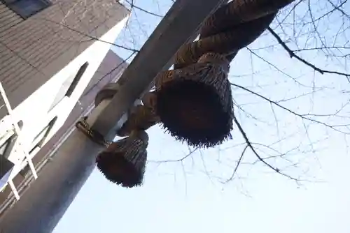 十番稲荷神社の鳥居