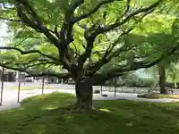 千如寺大悲王院の自然