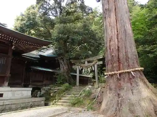 菅生石部神社の庭園