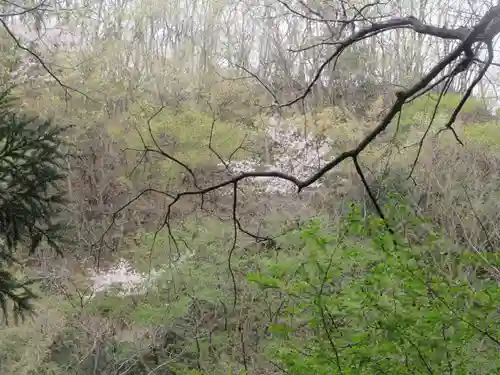 聖神社(埼玉県)