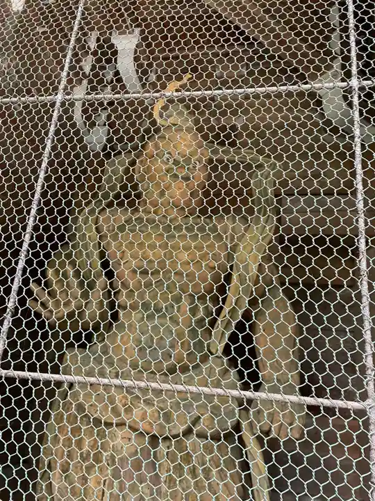 大宝寺(愛媛県)