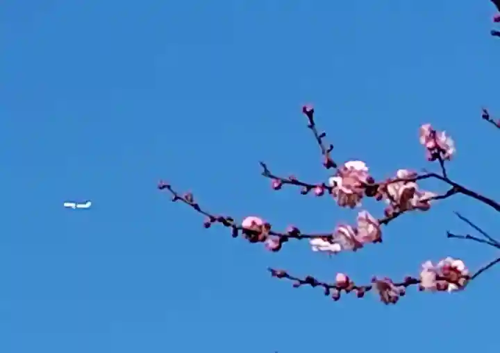 禅居院(神奈川県)