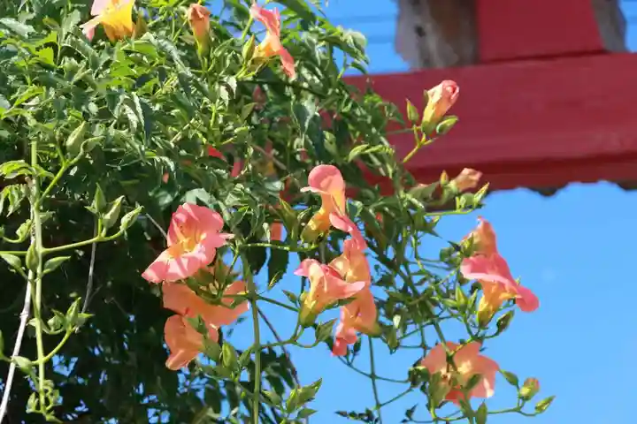 大鏑神社の鳥居