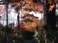 丸岡城八幡神社(福井県)