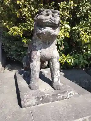 鶴岡八幡宮の狛犬