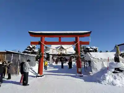 美瑛神社の初詣