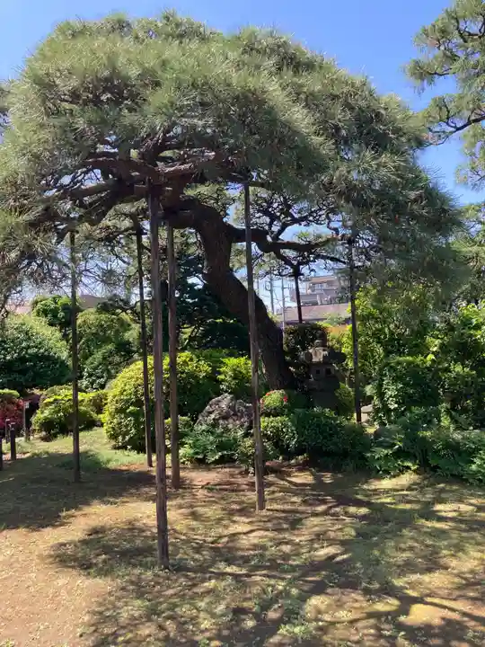 円乗院(東京都)