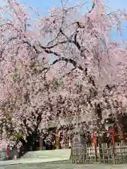 鈴鹿明神社(神奈川県)