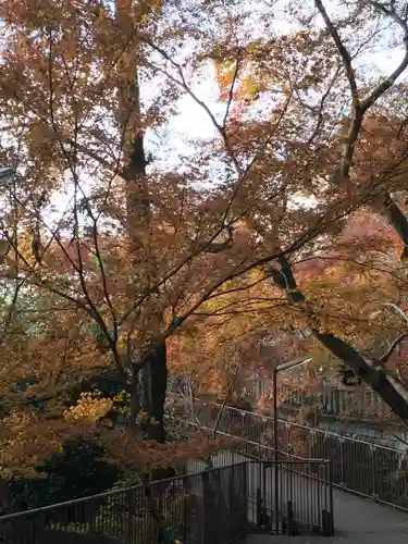 清水寺(京都府)