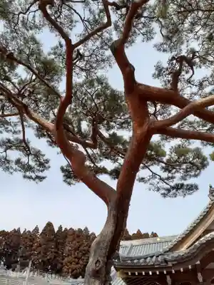浄念寺(宮城県)
