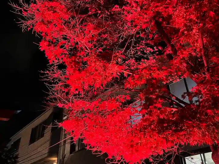 伏見稲荷大社(京都府)