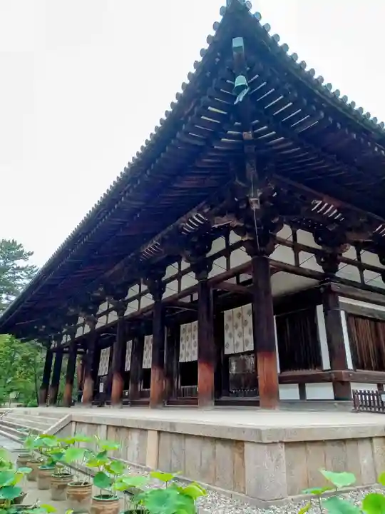 唐招提寺の本殿・本堂