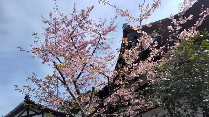 雲龍院(京都府)