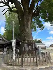 挙母神社(愛知県)