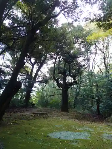 日吉神社の建物その他