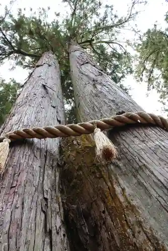 西明寺(滋賀県)