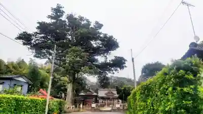 松澤 熊野神社(千葉県)
