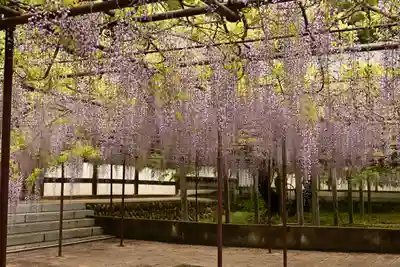 長泉寺(埼玉県)