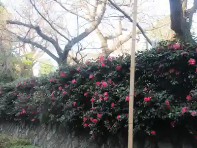 密藏院(東京都)