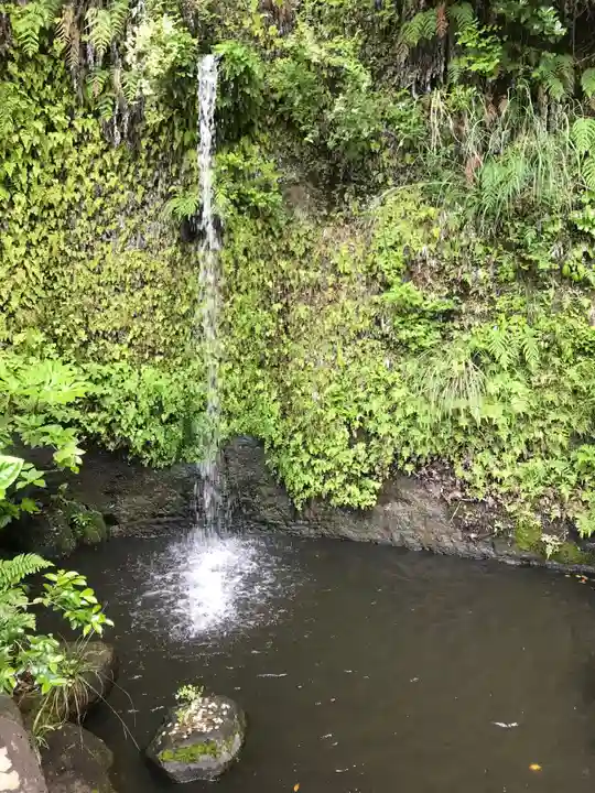 銭洗弁財天宇賀福神社の庭園