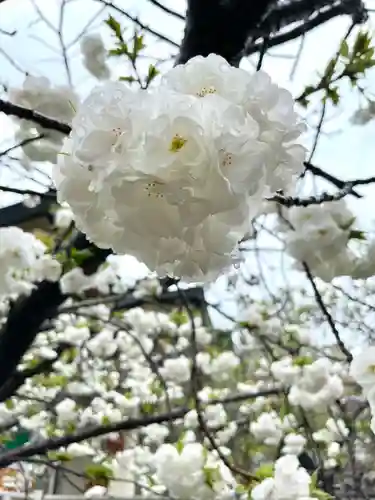 難波八阪神社(大阪府)
