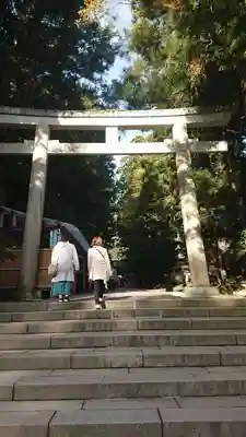 彌彦神社の鳥居