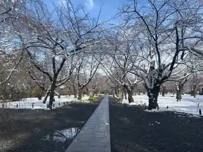 平野神社の{uncategorized: "未分類", other: "その他", undefined: "問題あり", building: "その他建物", grave: "お墓", sacred_gate: "鳥居", guardian: "狛犬", statue: "像", buddha: "仏像", history: "歴史", nature: "自然", garden: "庭園", animal: "動物", pagoda: "塔", temizu: "手水舎", mountain_gate: "山門・神門", sanctuary: "本殿・本堂", subordinate: "末社・摂社", art: "芸術", scenery: "景色", jizo: "地蔵", ema: "絵馬", goshuin: "御朱印", omikuji: "おみくじ", items: "授与品その他", amulet: "お守り", goshuincho: "御朱印帳", eats: "食事", festival: "お祭り", votive_dance: "神楽", shichigosan: "七五三参", wedding: "結婚式", experience: "体験その他", initially: "初詣", around: "周辺", anti_infection: "感染症対策"}