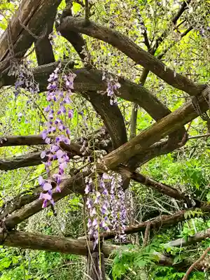 神炊館神社 ⁂奥州須賀川総鎮守⁂(福島県)