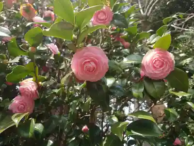 一山神社の自然