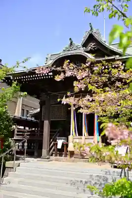 桜神宮の本殿・本堂