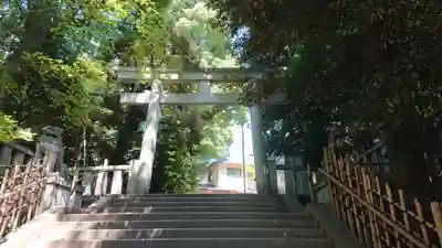 渋谷氷川神社の鳥居