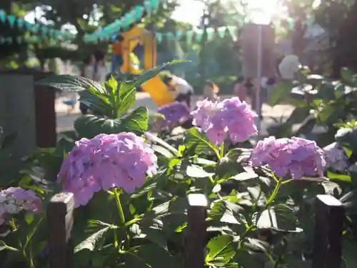 白山神社のその他建物