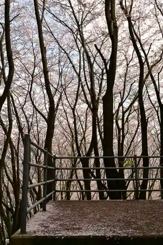 熊野神社(愛媛県)