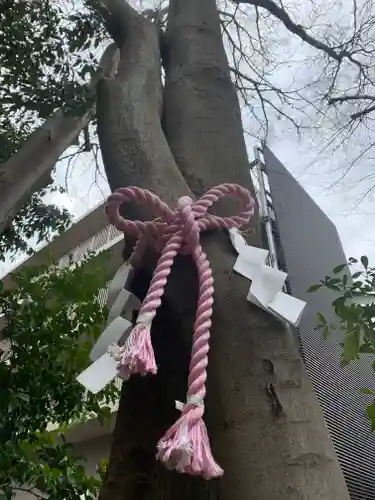 伊和志津神社の自然