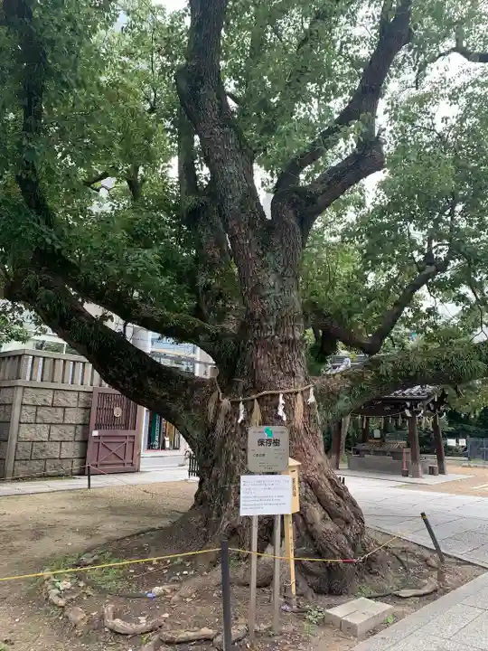 難波神社(大阪府)